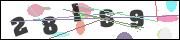 CAPTCHA image characters