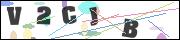 CAPTCHA image characters