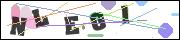 CAPTCHA image characters