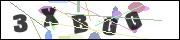 CAPTCHA image characters
