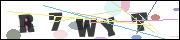CAPTCHA image characters