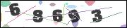 CAPTCHA image characters
