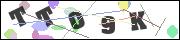 CAPTCHA image characters