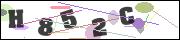 CAPTCHA image characters