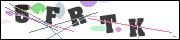 CAPTCHA image characters