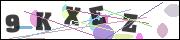 CAPTCHA image characters