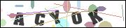 CAPTCHA image characters