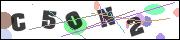 CAPTCHA image characters