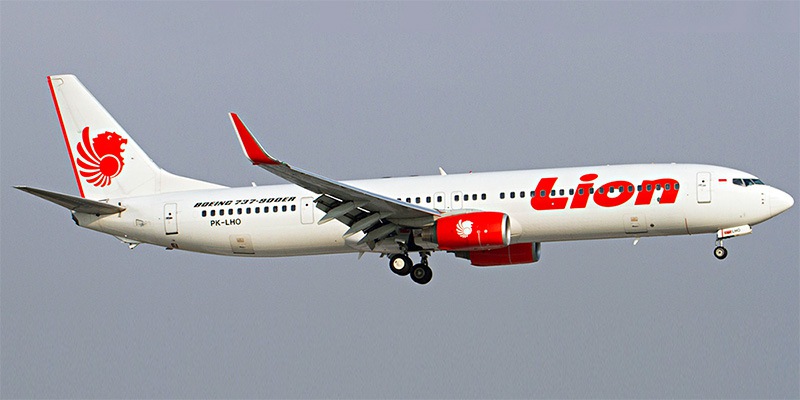 Lion Airlines. ...
