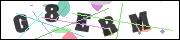 CAPTCHA image characters