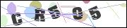 CAPTCHA image characters