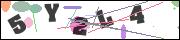 CAPTCHA image characters
