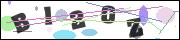 CAPTCHA image characters