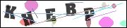 CAPTCHA image characters