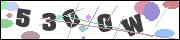 CAPTCHA image characters