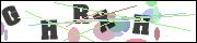 CAPTCHA image characters
