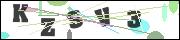 CAPTCHA image characters