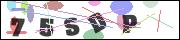 CAPTCHA image characters