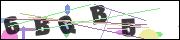 CAPTCHA image characters