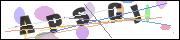 CAPTCHA image characters
