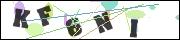 CAPTCHA image characters