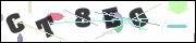 CAPTCHA image characters