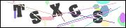 CAPTCHA image characters