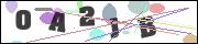 CAPTCHA image characters