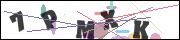 CAPTCHA image characters
