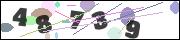 CAPTCHA image characters