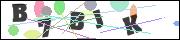CAPTCHA image characters