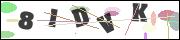 CAPTCHA image characters