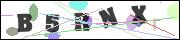 CAPTCHA image characters