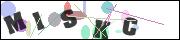 CAPTCHA image characters