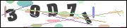 CAPTCHA image characters