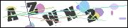CAPTCHA image characters