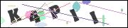 CAPTCHA image characters