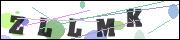 CAPTCHA image characters