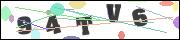 CAPTCHA image characters