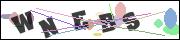 CAPTCHA image characters