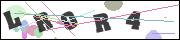CAPTCHA image characters