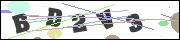 CAPTCHA image characters
