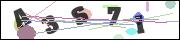 CAPTCHA image characters