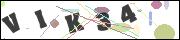 CAPTCHA image characters