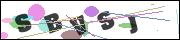 CAPTCHA image characters