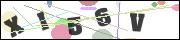 CAPTCHA image characters