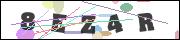 CAPTCHA image characters