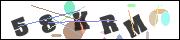 CAPTCHA image characters