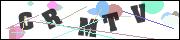 CAPTCHA image characters