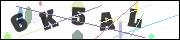 CAPTCHA image characters